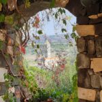 Le chiese di Sardegna : La Basilica di Saccargia